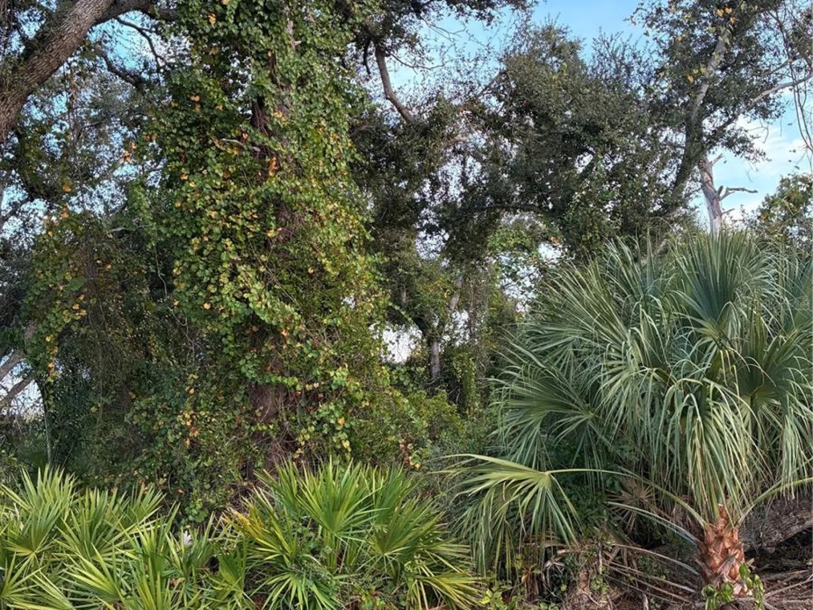 MENDAVIA TER, NORTH PORT, FL — photo 2