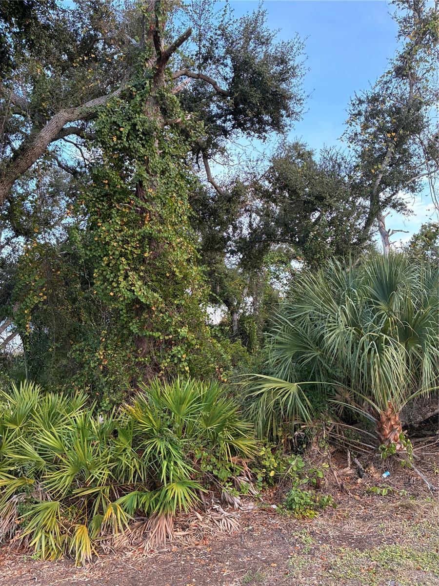 MENDAVIA TER, NORTH PORT, FL