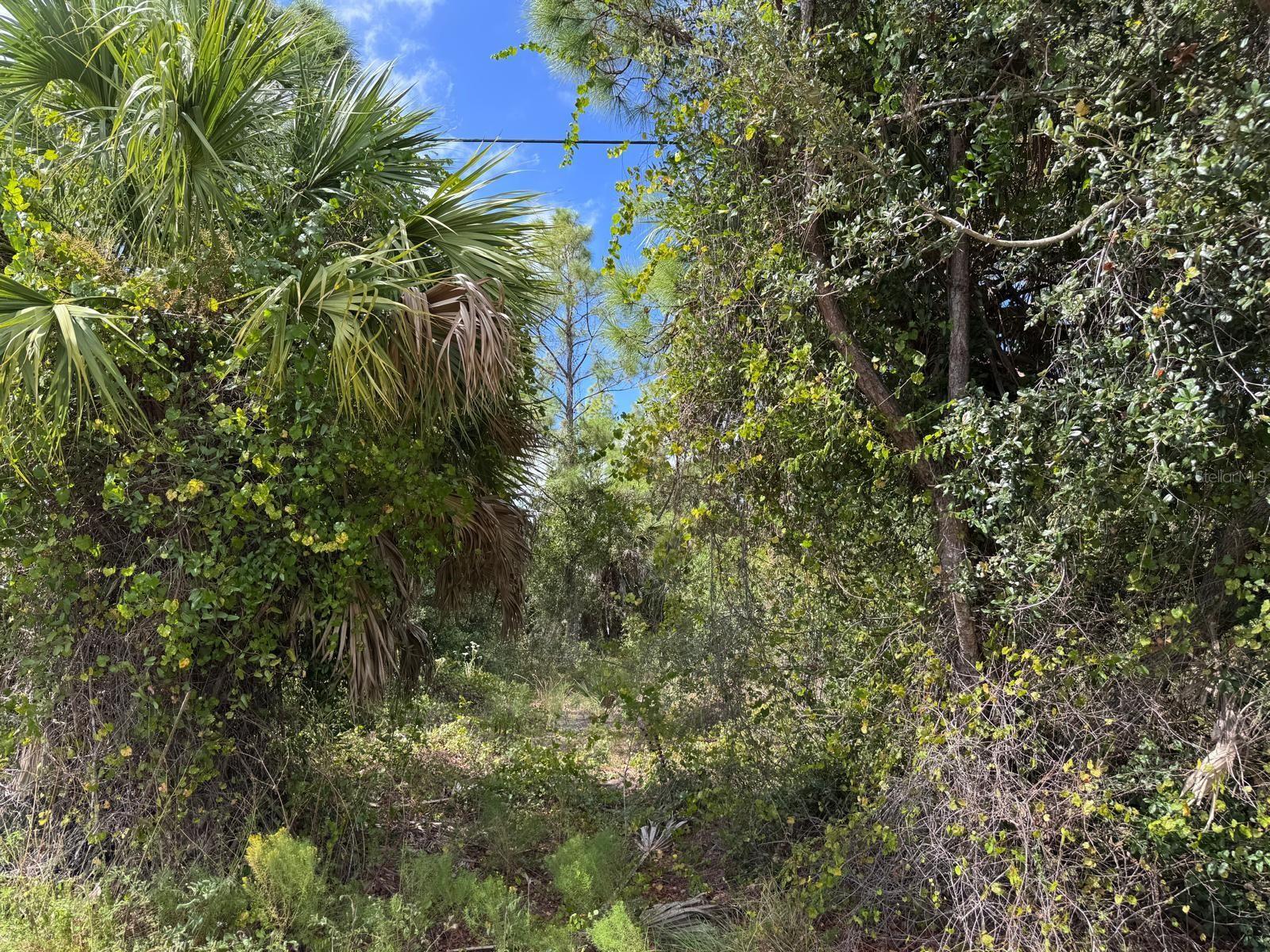 13612 KEYSTONE BLVD, PORT CHARLOTTE, FL — photo 3