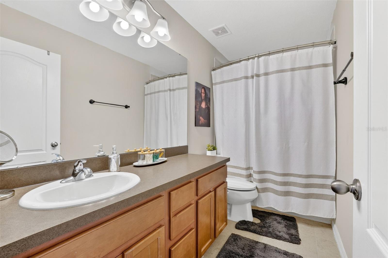 11214 CARRICK STONE ST, WIMAUMA, FL — photo 46