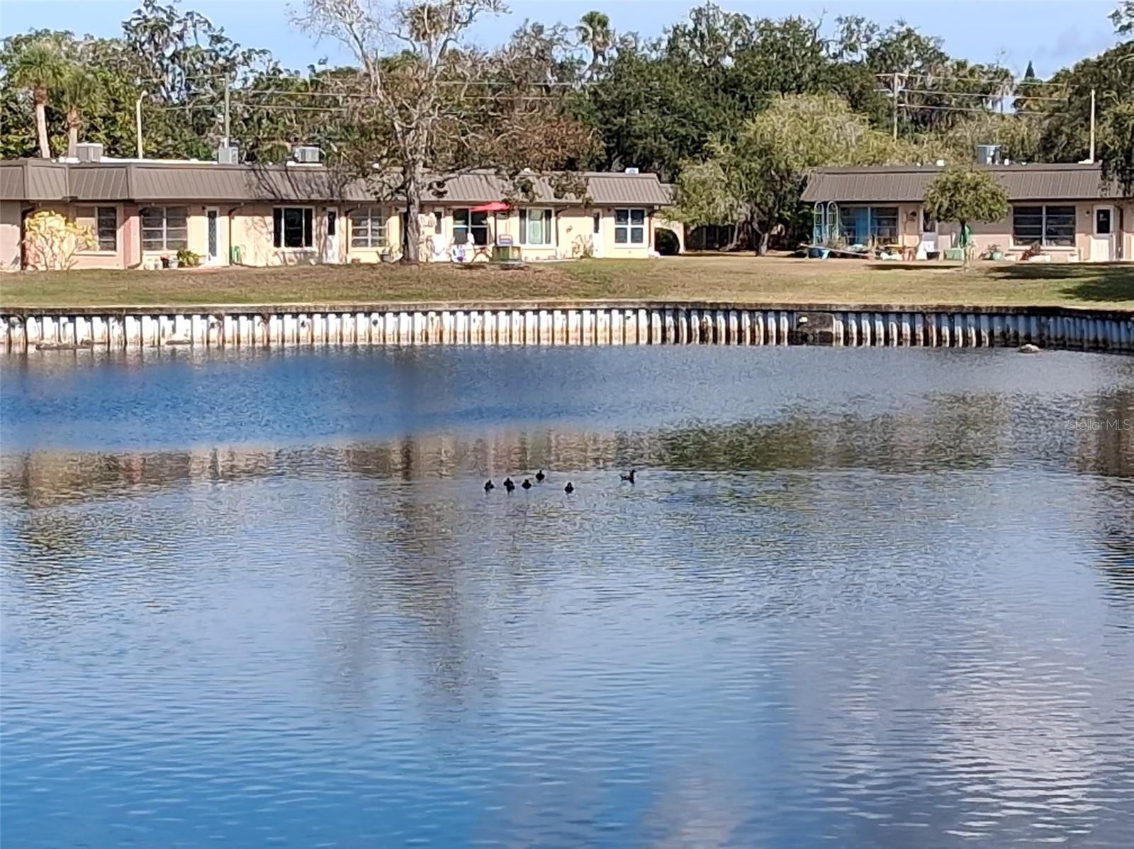 4326 SUMMERSUN DR, NEW PORT RICHEY, FL — photo 22