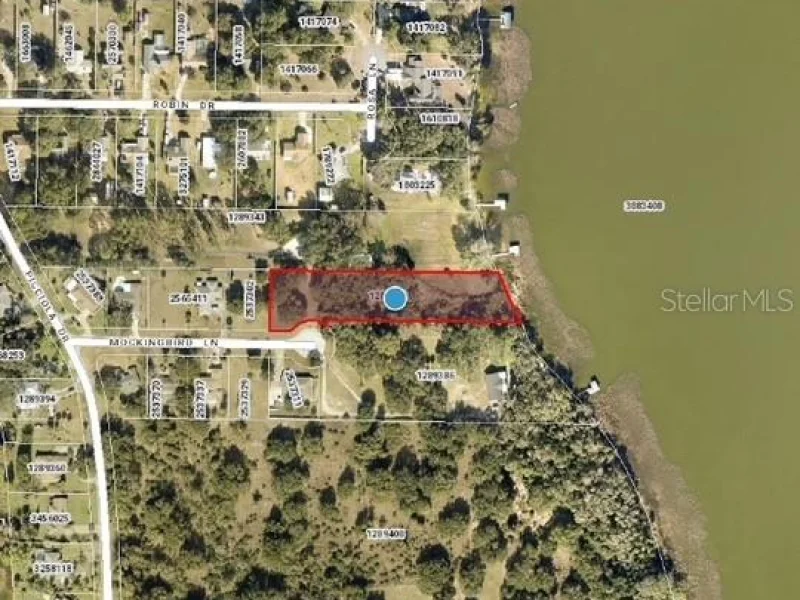 MOCKINGBIRD LN, FRUITLAND PARK, FL