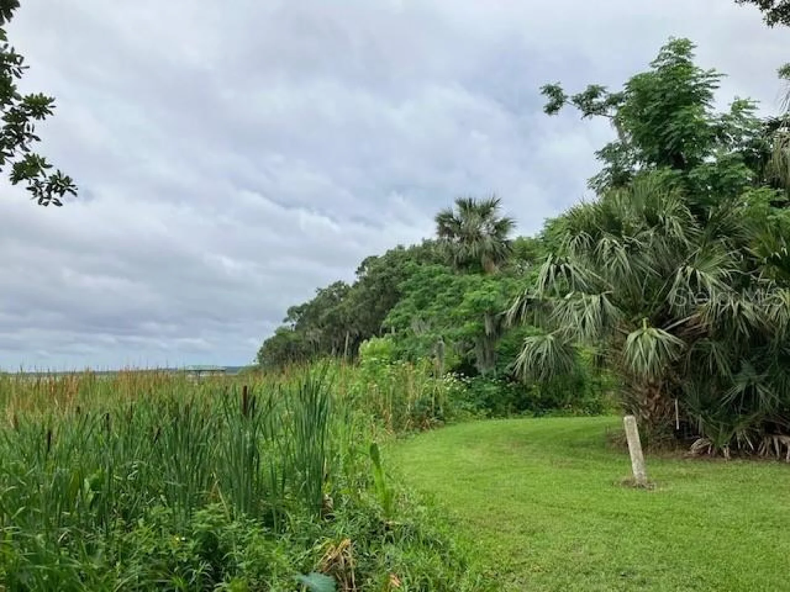MOCKINGBIRD LN, FRUITLAND PARK, FL — photo 7
