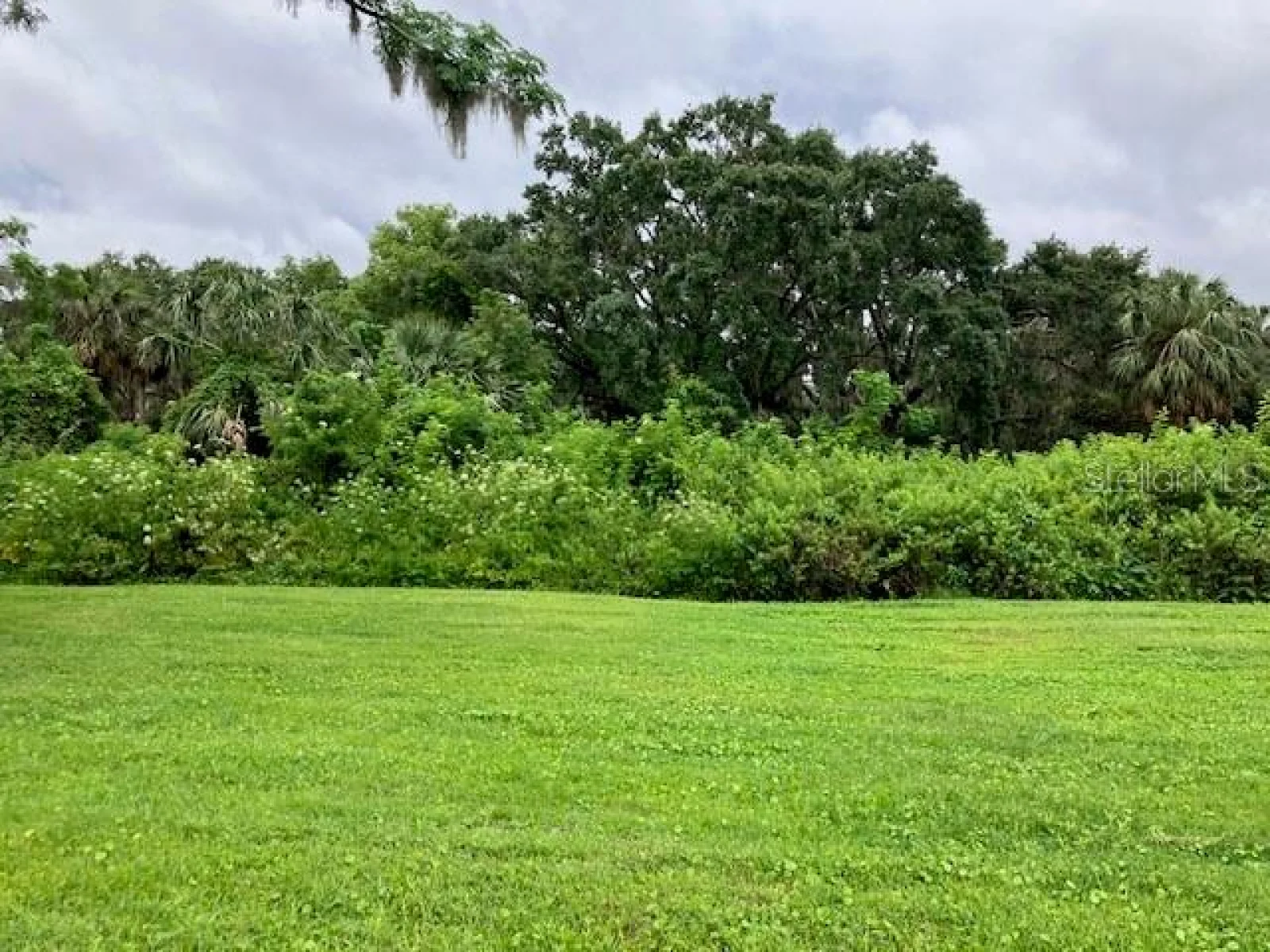 MOCKINGBIRD LN, FRUITLAND PARK, FL — photo 9