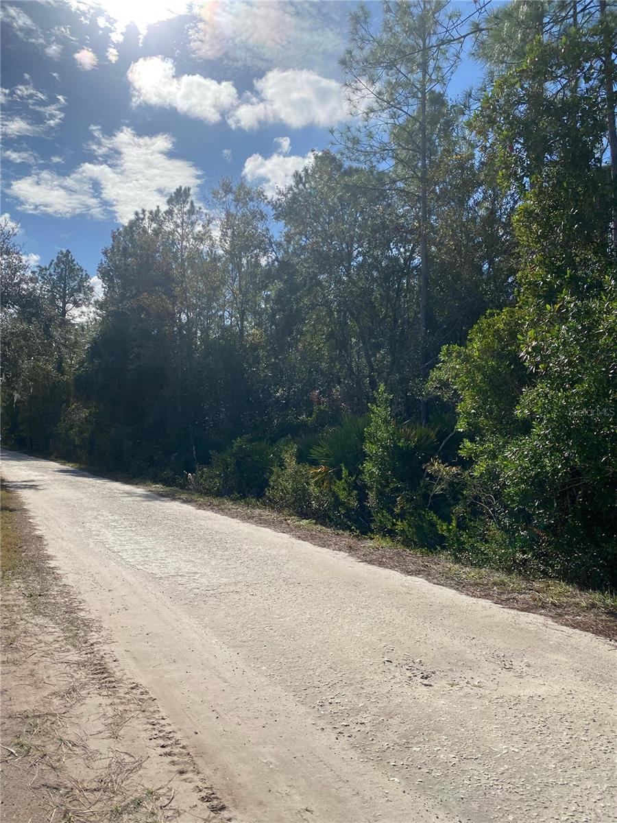 862 LAMAR ST E, LEHIGH ACRES, FL — photo 2
