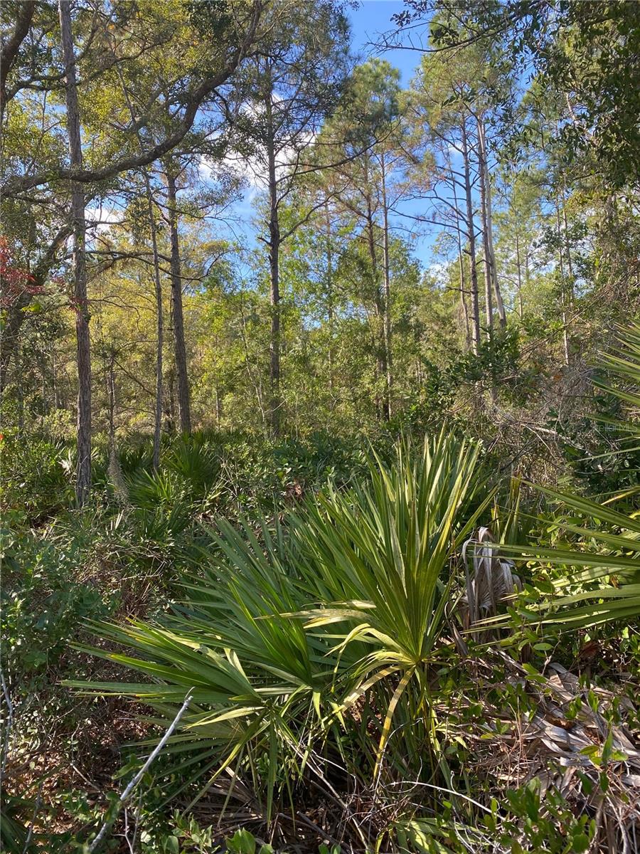 862 LAMAR ST E, LEHIGH ACRES, FL — photo 3