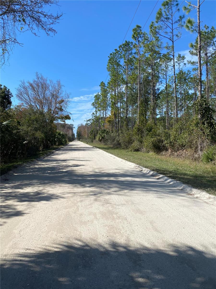 862 LAMAR ST E, LEHIGH ACRES, FL — photo 4