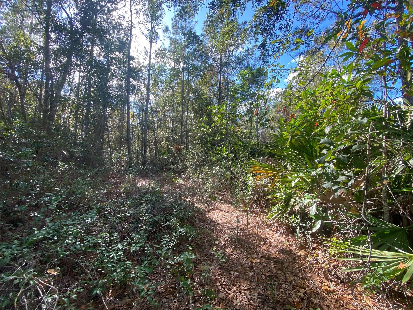 862 LAMAR ST E, LEHIGH ACRES, FL — photo 5