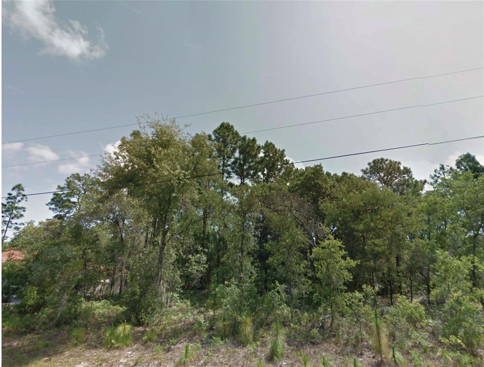 8383 N MANUETTA DR, CITRUS SPRINGS, FL