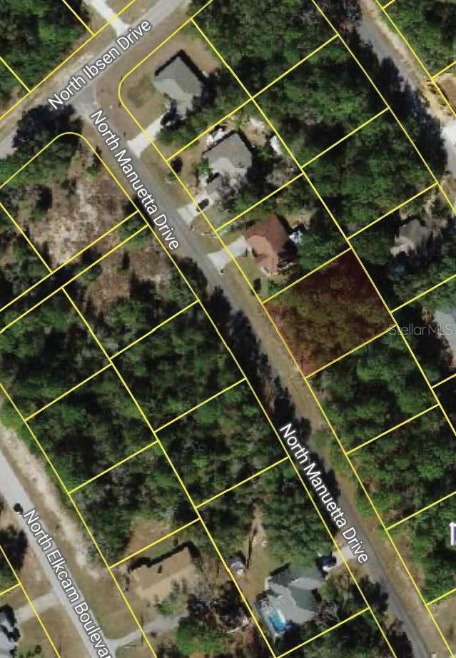 8383 N MANUETTA DR, CITRUS SPRINGS, FL — photo 3