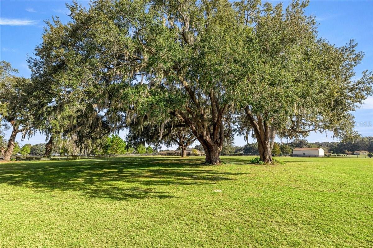 10561 NE 104TH CIR, OXFORD, FL — photo 54