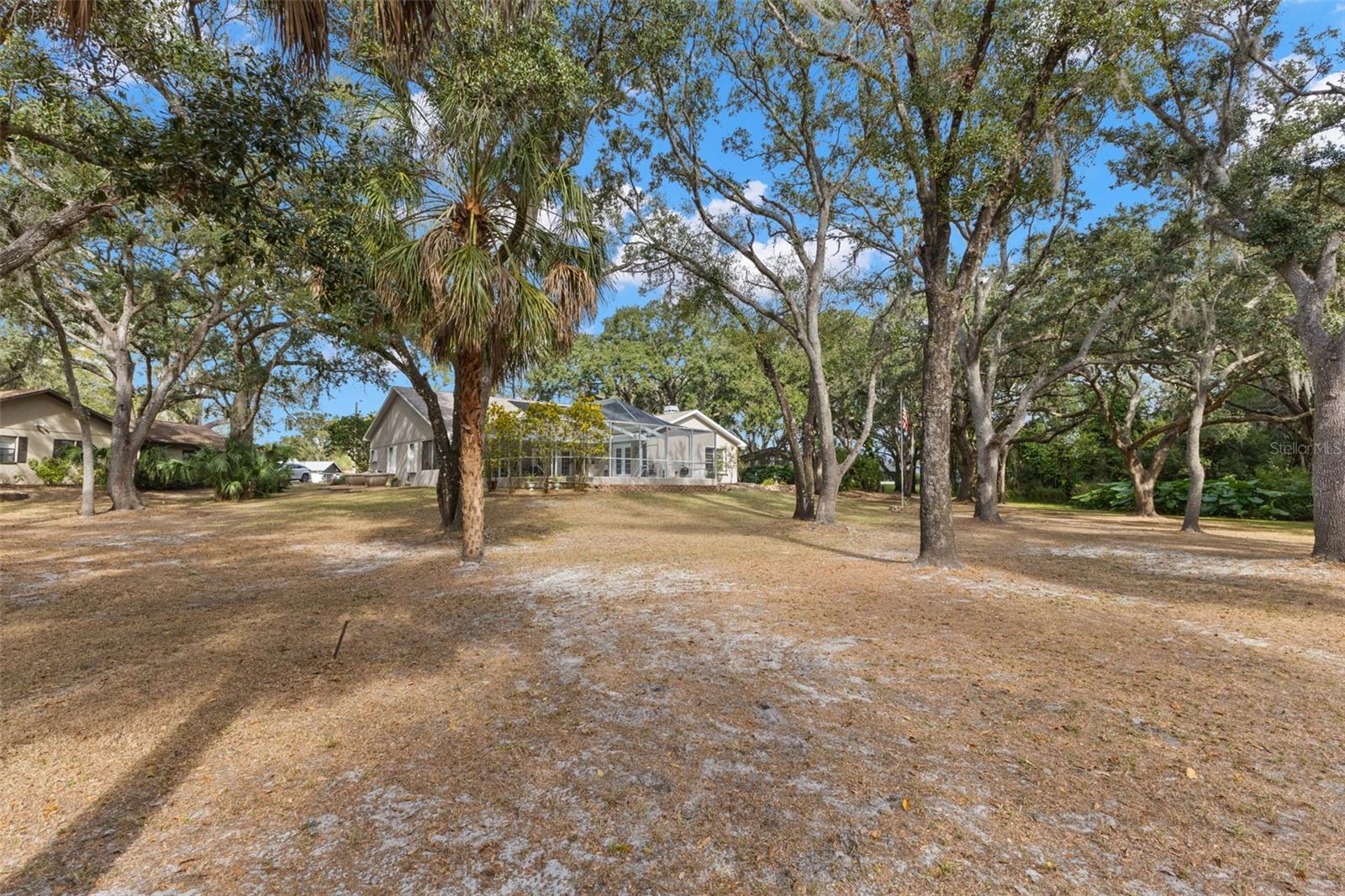 3734 THORNBUSH LN, NEW PORT RICHEY, FL — photo 35