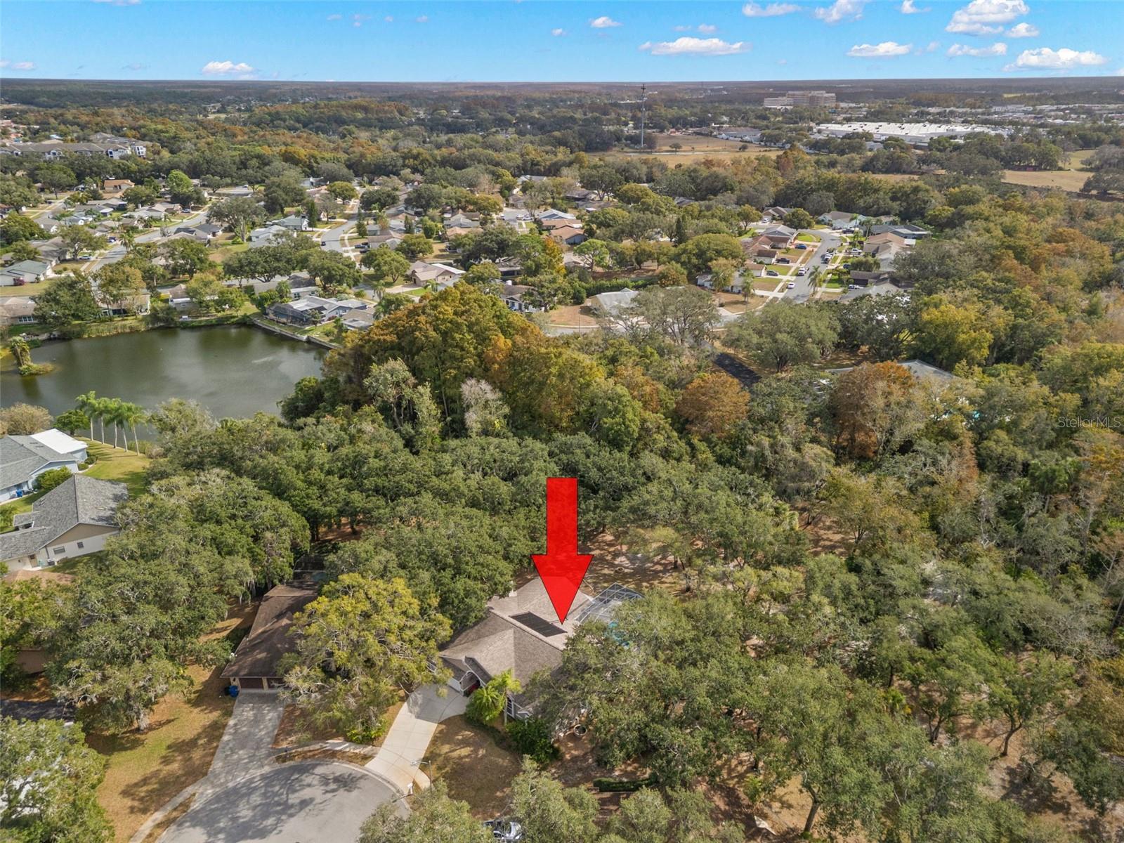 3734 THORNBUSH LN, NEW PORT RICHEY, FL — photo 43