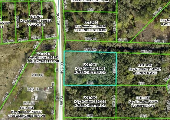 7222 GLENCHESTER DR, WEBSTER, FL — photo 2