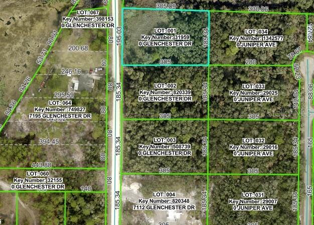 7222 GLENCHESTER DR, WEBSTER, FL — photo 3
