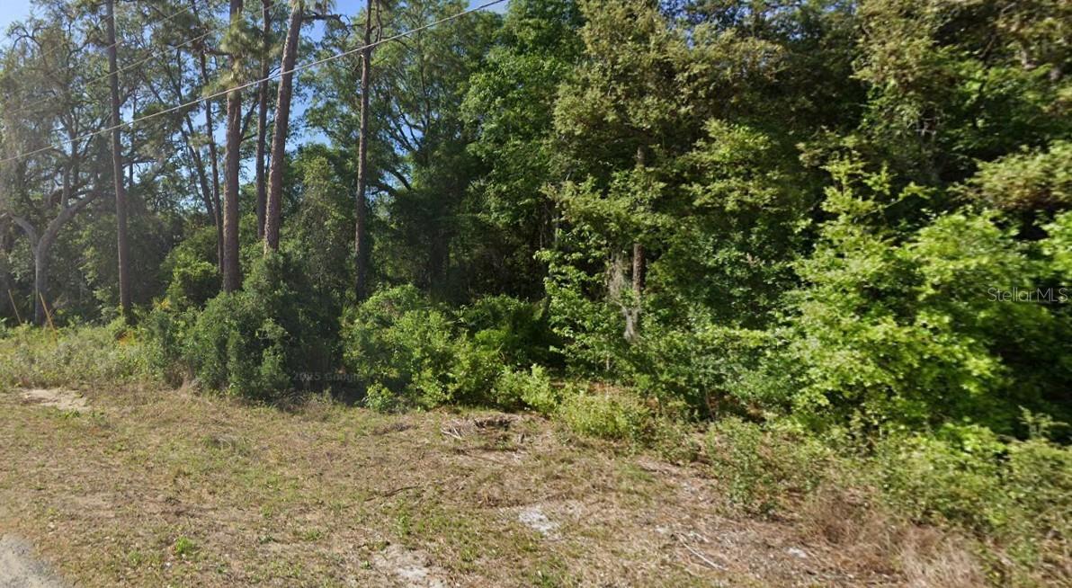 SE 17TH LN, OCKLAWAHA, FL