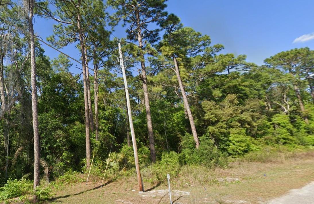 SE 17TH LN, OCKLAWAHA, FL — photo 2