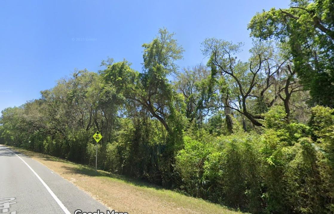 SE 17TH LN, OCKLAWAHA, FL — photo 3