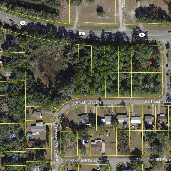SE 17TH LN, OCKLAWAHA, FL — photo 8