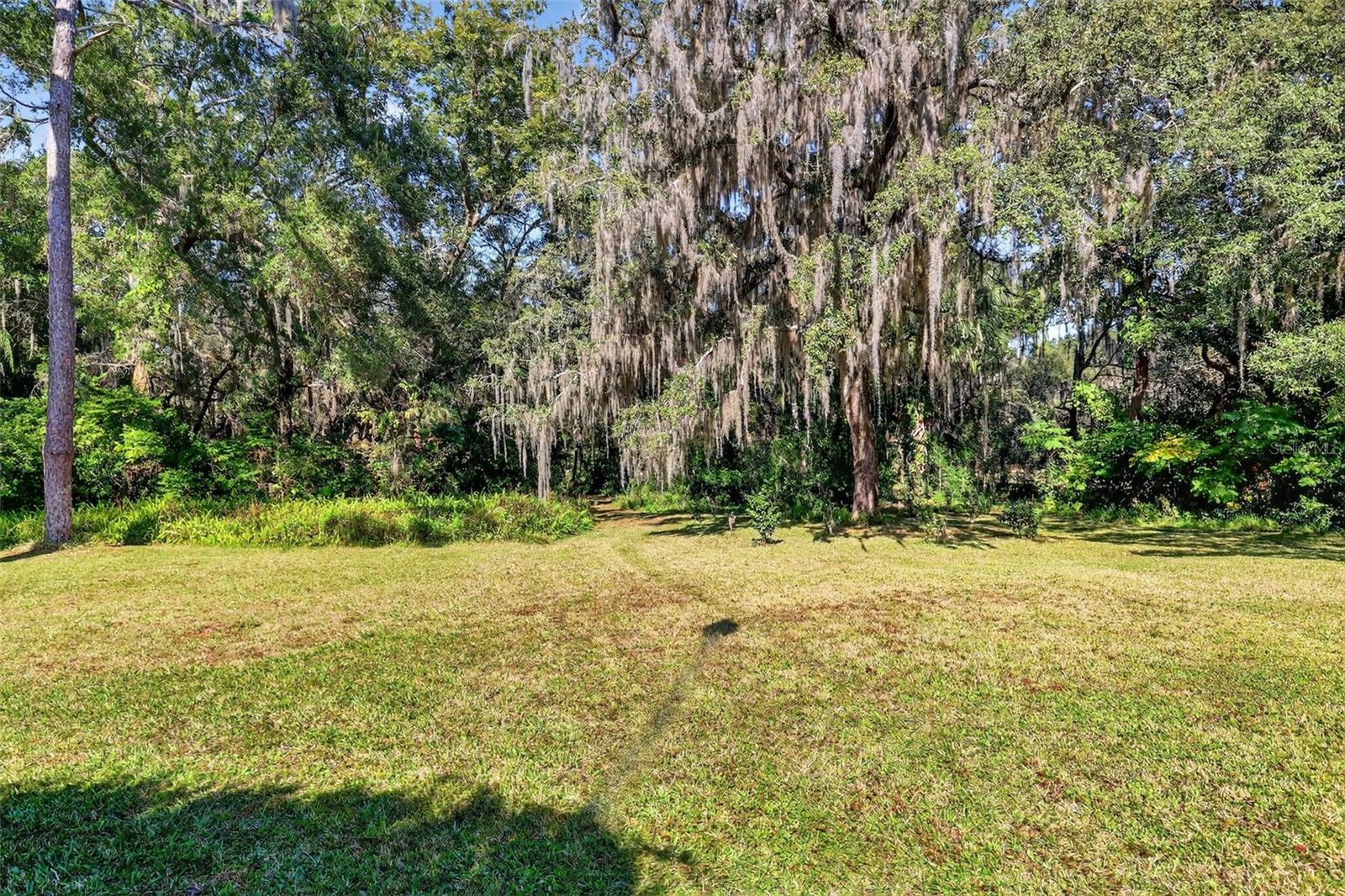 9345 SILVER LAKE DR, LEESBURG, FL — photo 111