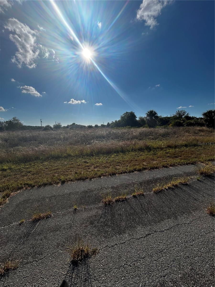 216 LEINSTER PL, LABELLE, FL