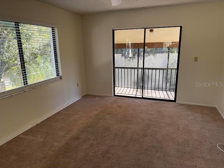 612 BALDWIN AVE #C, SAFETY HARBOR, FL — photo 9