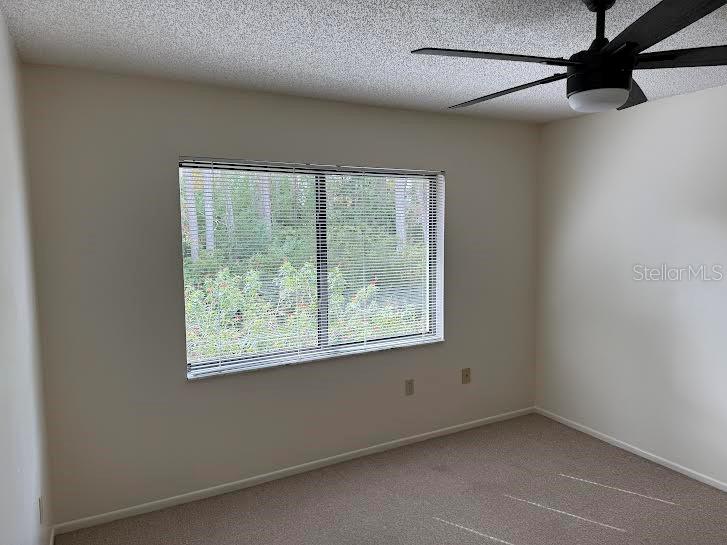 612 BALDWIN AVE #C, SAFETY HARBOR, FL — photo 21