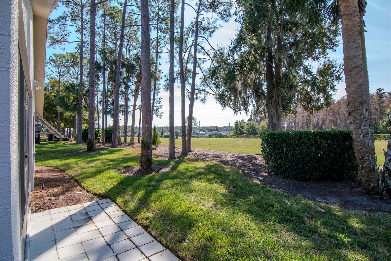 9500 GREEN NEEDLE DR, NEW PORT RICHEY, FL — photo 17