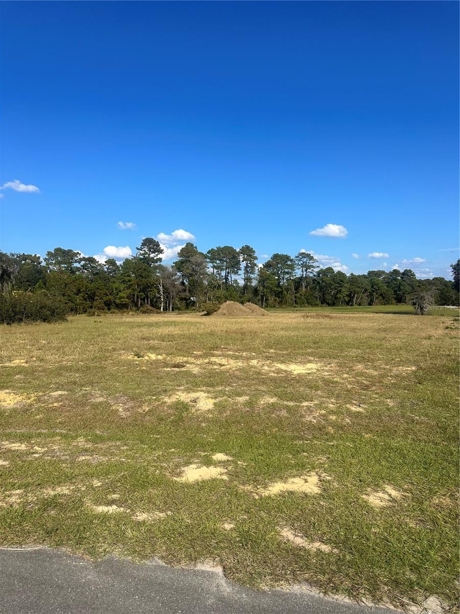 38553 WOODED MEADOW DR, UMATILLA, FL — photo 3