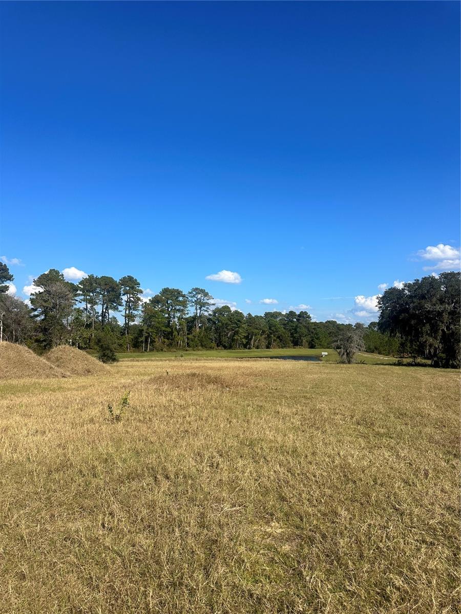38553 WOODED MEADOW DR, UMATILLA, FL — photo 5