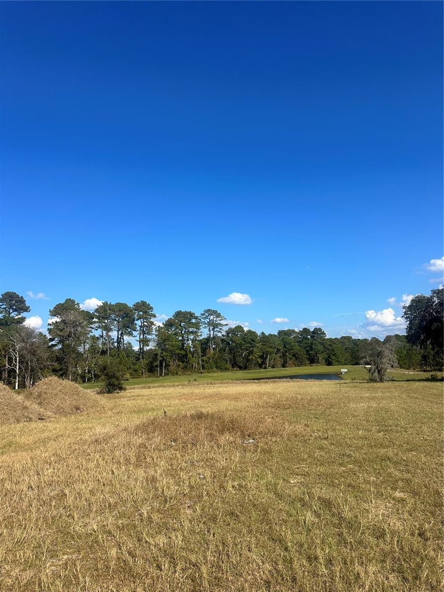 38553 WOODED MEADOW DR, UMATILLA, FL — photo 8