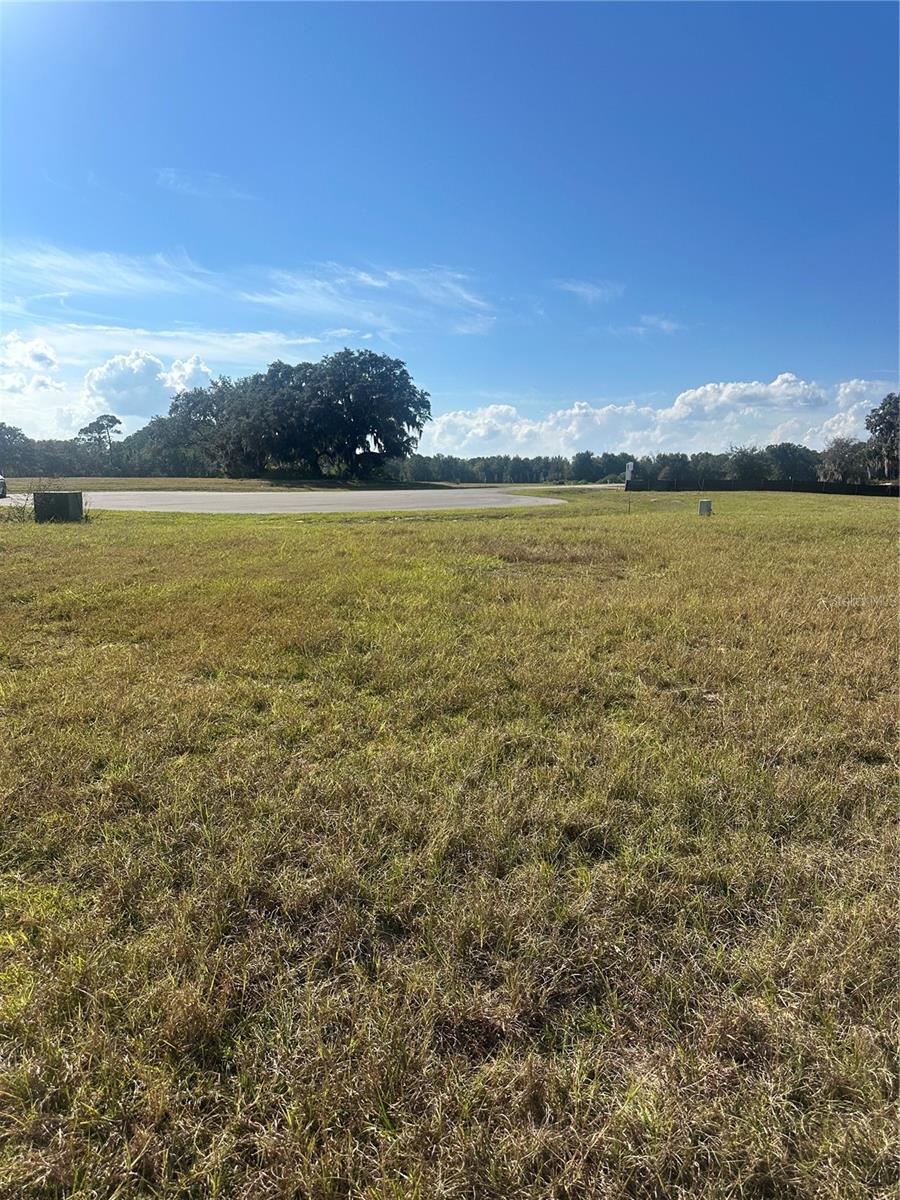 38553 WOODED MEADOW DR, UMATILLA, FL — photo 9