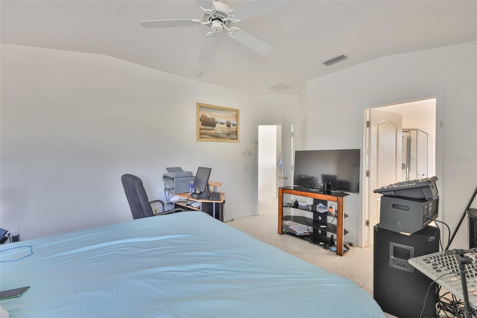 702 CRISTELLE JEAN DR, RUSKIN, FL — photo 19