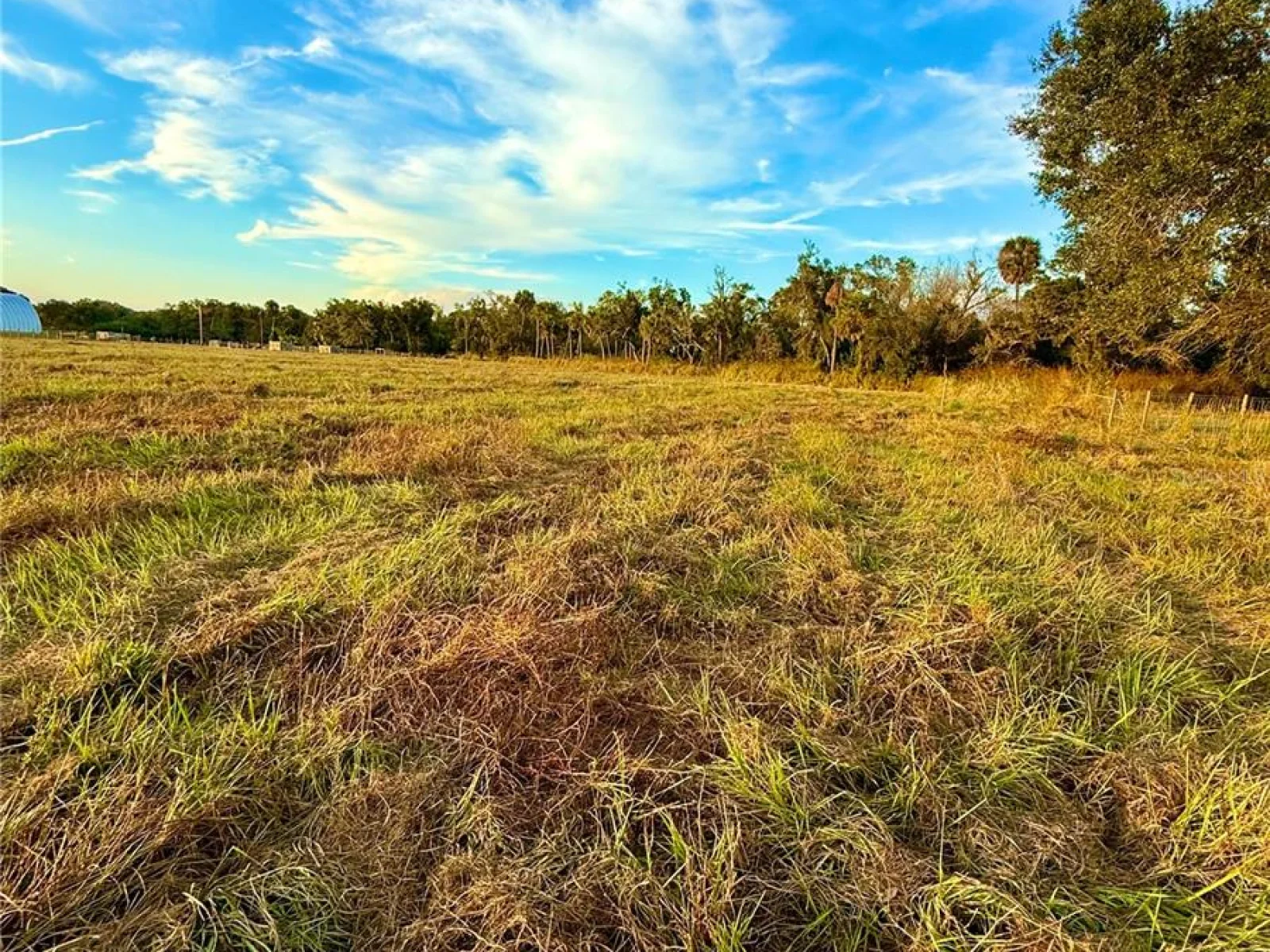 2902 SE PIGGYBACK RD, ARCADIA, FL — photo 3