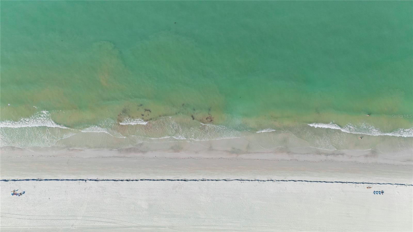 2900 GULF BLVD #202, BELLEAIR BEACH, FL — photo 44