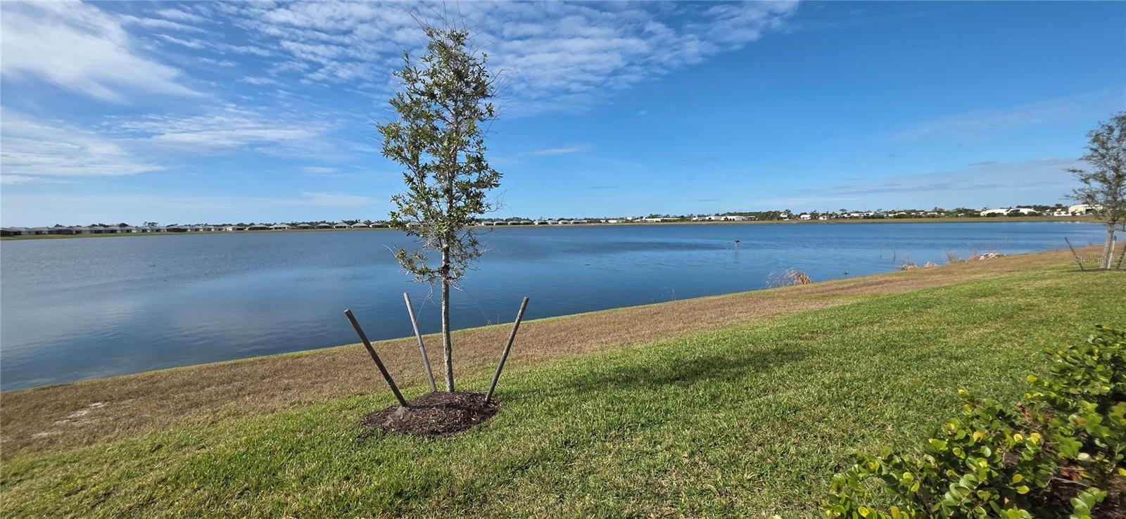 8140 SHORE LAKE DR, ENGLEWOOD, FL — photo 3