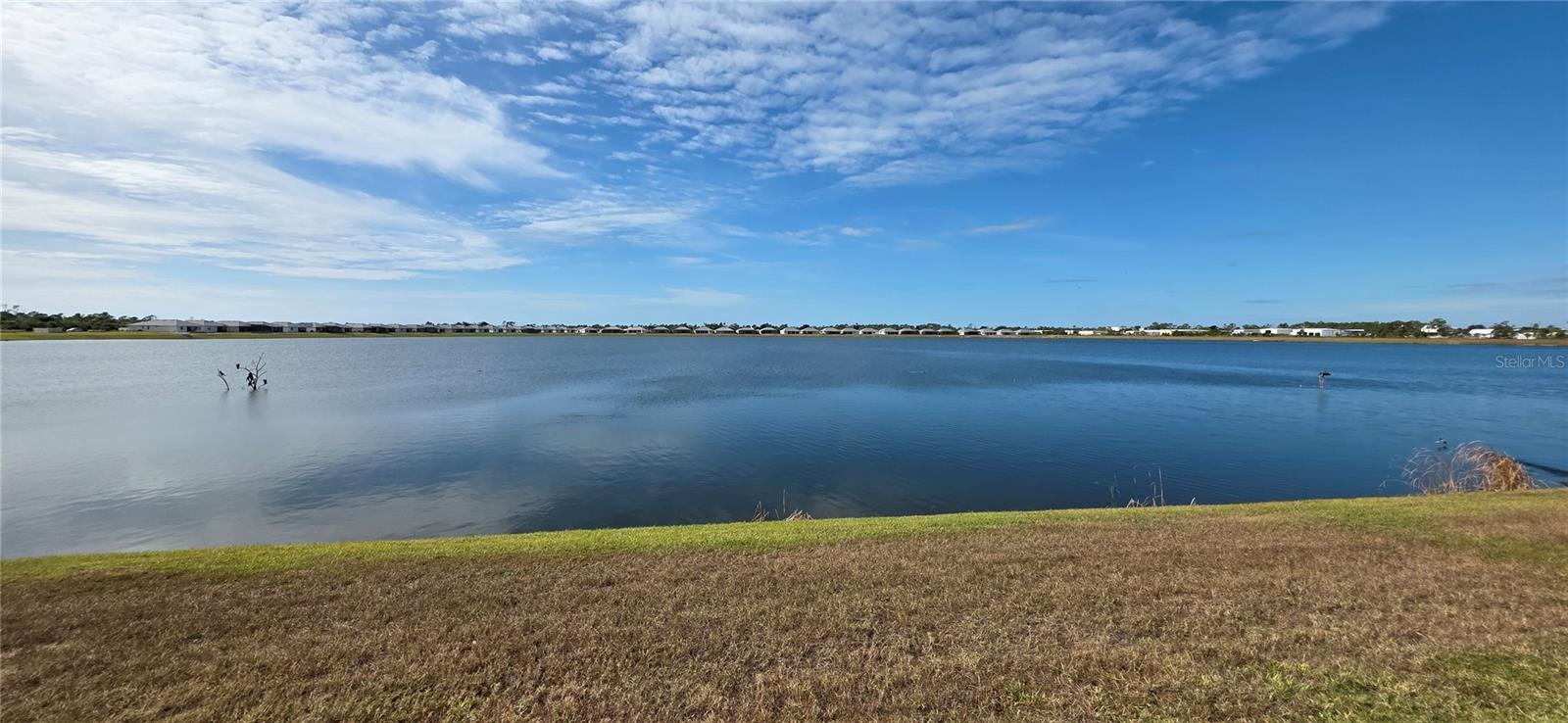 8140 SHORE LAKE DR, ENGLEWOOD, FL — photo 4