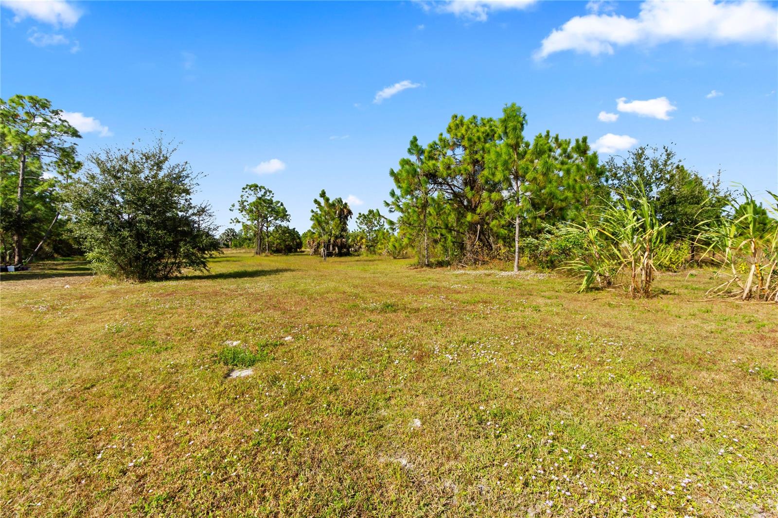 2953 EVERGLADES BLVD N, NAPLES, FL — photo 41