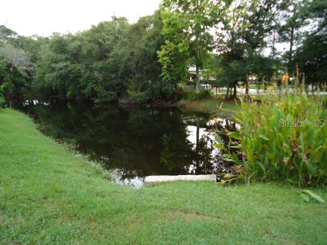 4012 CIRCLEWOOD CT, TAMPA, FL — photo 14