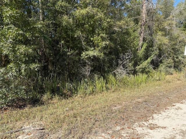 108TH AVE NE, BRONSON, FL — photo 4