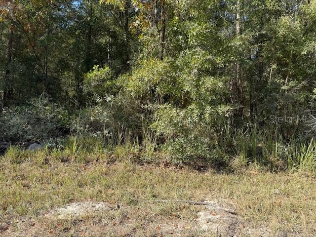 108TH AVE NE, BRONSON, FL — photo 5