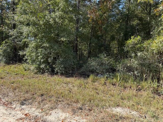 108TH AVE NE, BRONSON, FL — photo 7