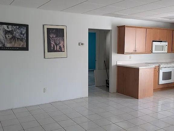 4402 GALLAGHER RD, PLANT CITY, FL — photo 23
