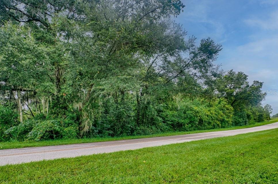 SE 9TH AVE, STARKE, FL — photo 5