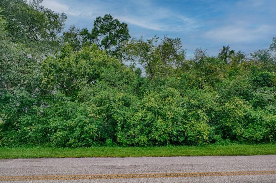 SE 9TH AVE, STARKE, FL — photo 8