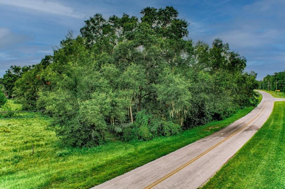 SE 9TH AVE, STARKE, FL — photo 34