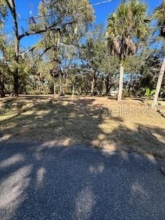 1204 DAVIES RD, BRANDON, FL — photo 2