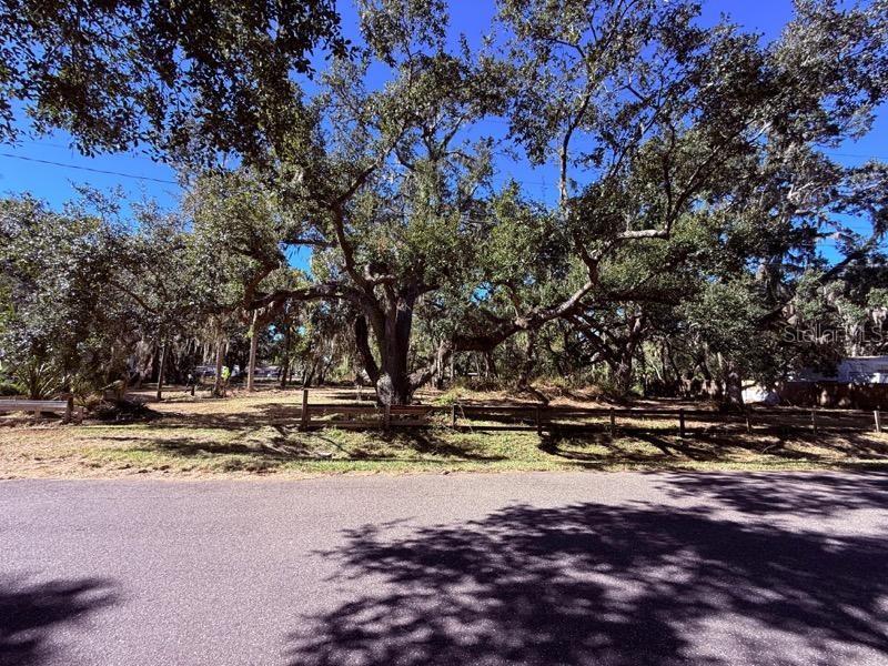 1204 DAVIES RD, BRANDON, FL — photo 3