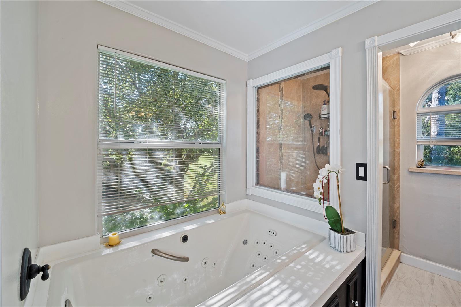 2649 ALBION AVE, ORLANDO, FL — photo 21