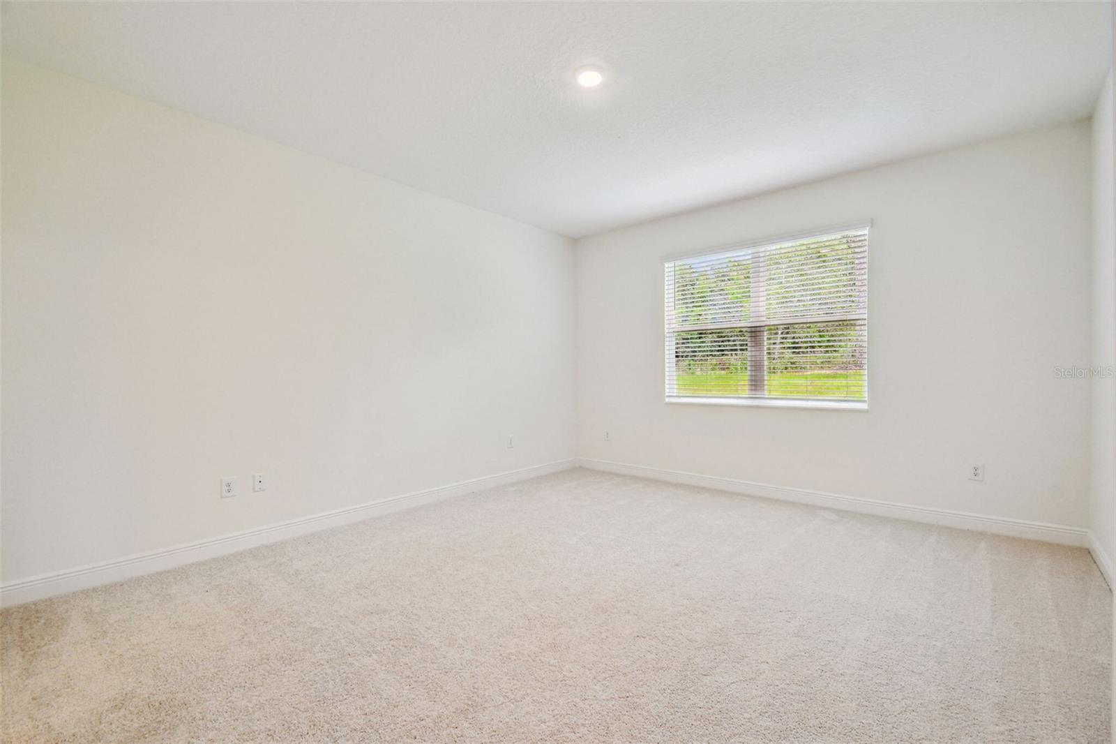 11347 STRIPED BASS CT, NEW PORT RICHEY, FL — photo 48